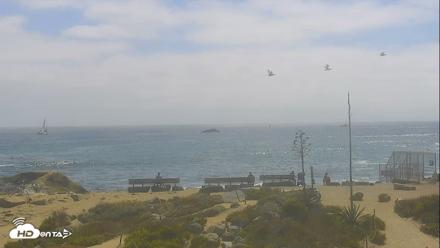 Dana Point Harbor Laguna Cliffs Resort Live Webcam - Jun 17, 2026, 3:20pm PDT
