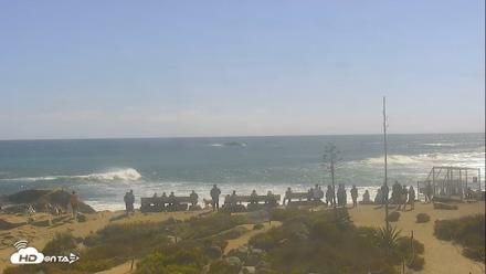 Dana Point Harbor Laguna Cliffs Resort Live Webcam - Jun 20, 2026, 4:20pm PDT