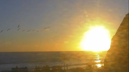 Dana Point Harbor Laguna Cliffs Resort Live Webcam - Oct 22, 2025, 5:53pm PDT