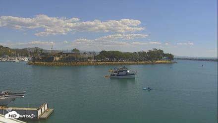Dana Point Harbor Laguna Cliffs Resort Live Webcam - Oct 5, 2026, 12:23pm PDT