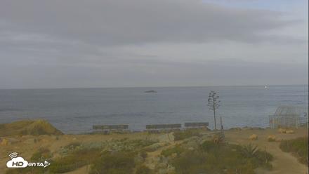 Dana Point Harbor Laguna Cliffs Resort Live Webcam - Apr 16, 2026, 7:47am PDT