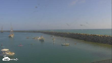 Dana Point Harbor Laguna Cliffs Resort Live Webcam - Sep 13, 2026, 4:13pm PDT