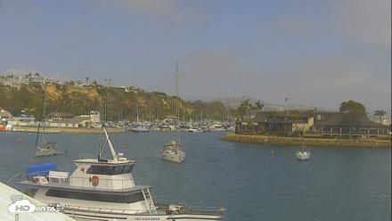 Dana Point Harbor Laguna Cliffs Resort Live Webcam - May 21, 2026, 3:06pm PDT