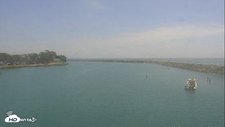 Dana Point Harbor Laguna Cliffs Resort Live Webcam - Sep 11, 2026, 12:15pm PDT