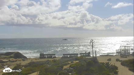 Dana Point Harbor Laguna Cliffs Resort Live Webcam - Apr 13, 2026, 4:08pm PDT