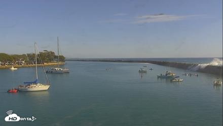Dana Point Harbor Laguna Cliffs Resort Live Webcam - Oct 18, 2026, 3:46pm PDT