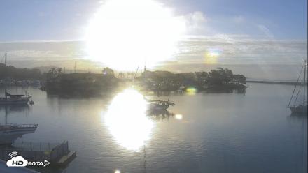 Dana Point Harbor Laguna Cliffs Resort Live Webcam - Sep 28, 2026, 7:34am PDT