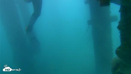 Dana Point Harbor Laguna Cliffs Resort Live Webcam - Apr 13, 2026, 11:19am PDT