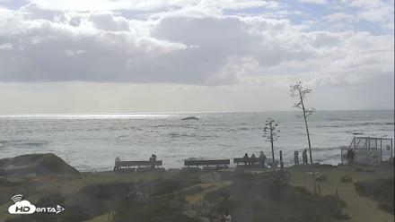 Dana Point Harbor Laguna Cliffs Resort Live Webcam - Oct 12, 2026, 3:18pm PDT
