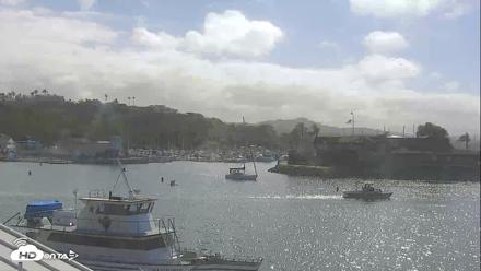 Dana Point Harbor Laguna Cliffs Resort Live Webcam - Jun 28, 2026, 9:12am PDT