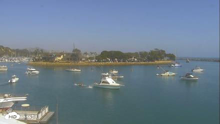 Dana Point Harbor Laguna Cliffs Resort Live Webcam - Aug 30, 2026, 3:47pm PDT