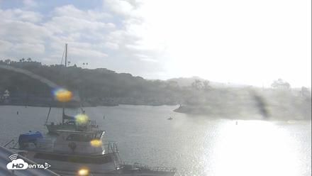 Dana Point Harbor Laguna Cliffs Resort Live Webcam - Sep 1, 2026, 7:50am PDT