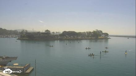 Dana Point Harbor Laguna Cliffs Resort Live Webcam - Aug 19, 2026, 9:58am PDT