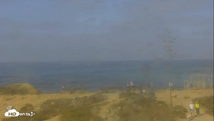 Dana Point Harbor Laguna Cliffs Resort Live Webcam - Aug 10, 2026, 9:35am PDT