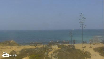 Dana Point Harbor Laguna Cliffs Resort Live Webcam - Aug 4, 2026, 12:28pm PDT