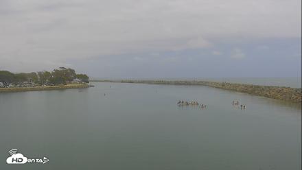 Dana Point Harbor Laguna Cliffs Resort Live Webcam - Jun 29, 2026, 1:15pm PDT