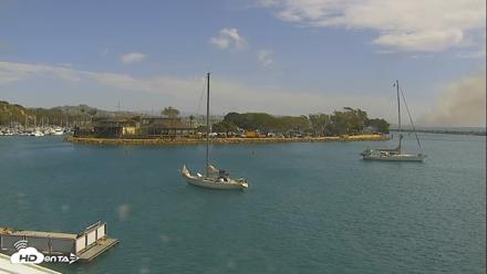 Dana Point Harbor Laguna Cliffs Resort Live Webcam - Oct 16, 2026, 12:49pm PDT