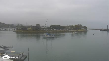 Dana Point Harbor Laguna Cliffs Resort Live Webcam - Aug 5, 2026, 8:19am PDT