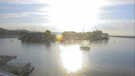 Dana Point Harbor Laguna Cliffs Resort Live Webcam - Oct 9, 2025, 7:58am PDT