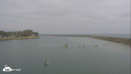 Dana Point Harbor Laguna Cliffs Resort Live Webcam - Jun 24, 2026, 2:26pm PDT