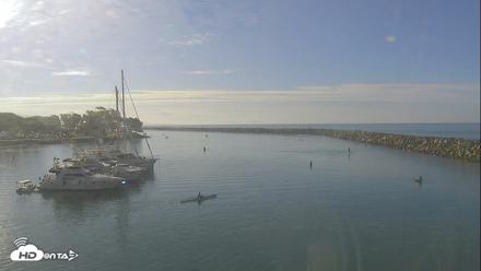 Dana Point Harbor Laguna Cliffs Resort Live Webcam - Sep 5, 2026, 8:47am PDT