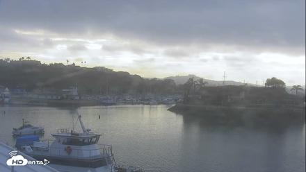 Dana Point Harbor Laguna Cliffs Resort Live Webcam - Jul 17, 2026, 7:50am PDT