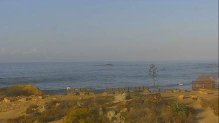 Dana Point Harbor Laguna Cliffs Resort Live Webcam - Sep 29, 2025, 7:47am PDT