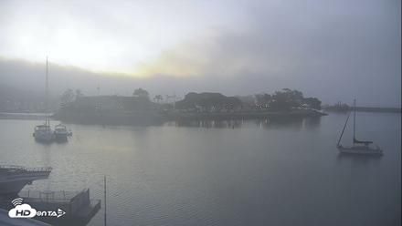 Dana Point Harbor Laguna Cliffs Resort Live Webcam - Aug 23, 2026, 6:13am PDT