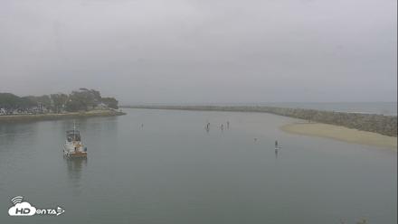 Dana Point Harbor Laguna Cliffs Resort Live Webcam - Jun 1, 2026, 7:48am PDT
