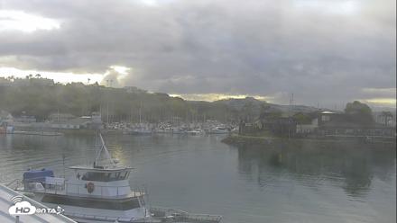 Dana Point Harbor Laguna Cliffs Resort Live Webcam - May 29, 2026, 6:56am PDT
