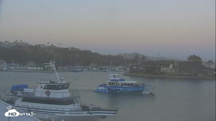 Dana Point Harbor Laguna Cliffs Resort Live Webcam - Jul 14, 2026, 8:05pm PDT