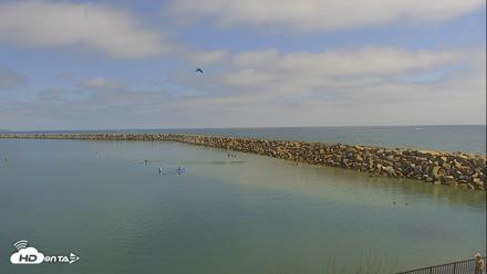 Dana Point Harbor Laguna Cliffs Resort Live Webcam - Jun 17, 2026, 3:19pm PDT