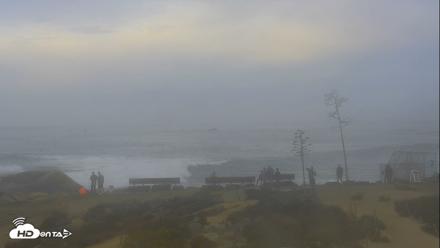Dana Point Harbor Laguna Cliffs Resort Live Webcam - Oct 10, 2026, 7:19am PDT