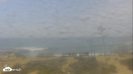 Dana Point Harbor Laguna Cliffs Resort Live Webcam - Aug 28, 2026, 1:55pm PDT