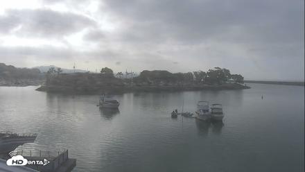 Dana Point Harbor Laguna Cliffs Resort Live Webcam - Jul 5, 2026, 7:47am PDT