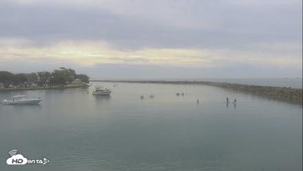 Dana Point Harbor Laguna Cliffs Resort Live Webcam - Sep 27, 2026, 10:30am PDT