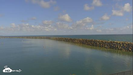 Dana Point Harbor Laguna Cliffs Resort Live Webcam - May 27, 2026, 4:31pm PDT