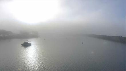 Dana Point Harbor Laguna Cliffs Resort Live Webcam - Nov 10, 2025, 7:24am PST