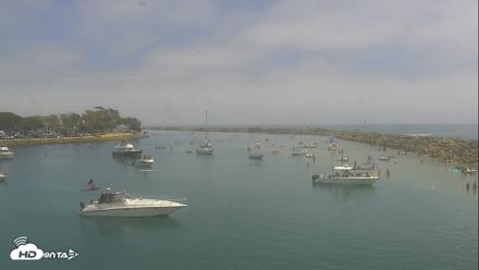 Dana Point Harbor Laguna Cliffs Resort Live Webcam - Jul 25, 2026, 1:46pm PDT