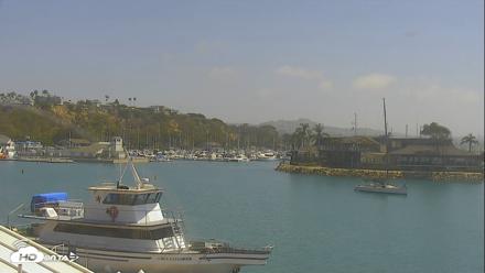 Dana Point Harbor Laguna Cliffs Resort Live Webcam - Aug 31, 2026, 11:37am PDT