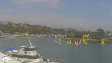 Dana Point Harbor Laguna Cliffs Resort Live Webcam - Jul 13, 2026, 2:46pm PDT