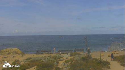 Dana Point Harbor Laguna Cliffs Resort Live Webcam - May 4, 2026, 9:43am PDT