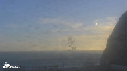 Dana Point Harbor Laguna Cliffs Resort Live Webcam - Aug 17, 2026, 6:59pm PDT