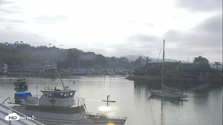 Dana Point Harbor Laguna Cliffs Resort Live Webcam - Jun 12, 2026, 7:51am PDT