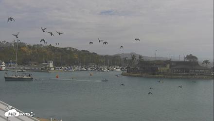 Dana Point Harbor Laguna Cliffs Resort Live Webcam - Oct 10, 2026, 10:42am PDT