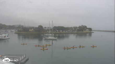 Dana Point Harbor Laguna Cliffs Resort Live Webcam - May 2, 2026, 9:46am PDT