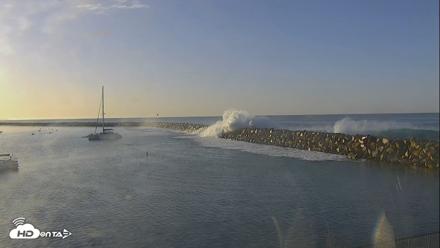 Dana Point Harbor Laguna Cliffs Resort Live Webcam - Oct 18, 2026, 8:03am PDT