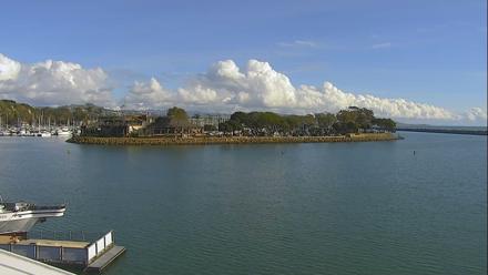 Dana Point Harbor Laguna Cliffs Resort Live Webcam - Jan 5, 2026, 1:11pm PST