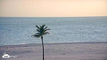 Dana Point Harbor Laguna Cliffs Resort Live Webcam - Apr 13, 2026, 4:21pm PDT