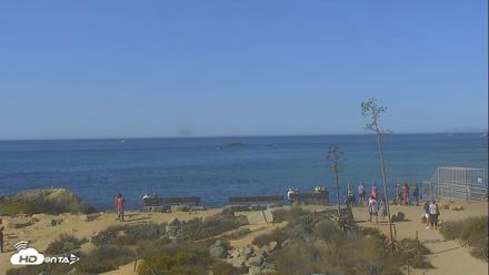 Dana Point Harbor Laguna Cliffs Resort Live Webcam - Oct 4, 2026, 10:19am PDT